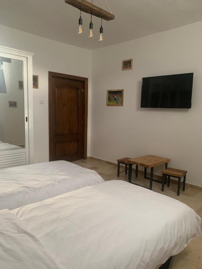 Cocosul De Munte Hotel Baia de Fier Exterior photo